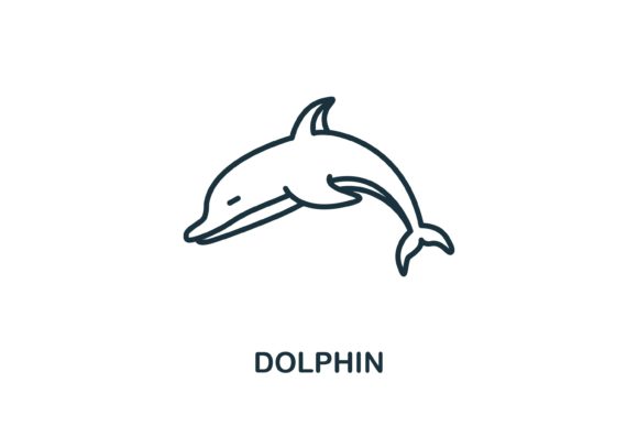 Dolphin: More Than Just a Symbol in Design